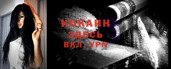 твердый Богородицк