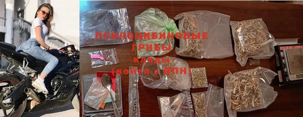 твердый Богородицк