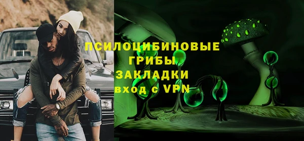 твердый Богородицк