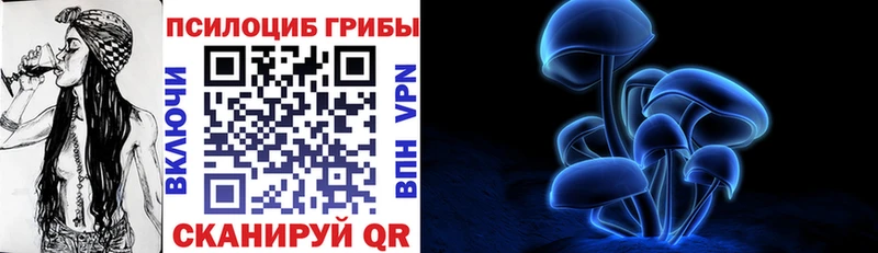 как найти   Нижневартовск  Псилоцибиновые грибы Psilocybine cubensis 